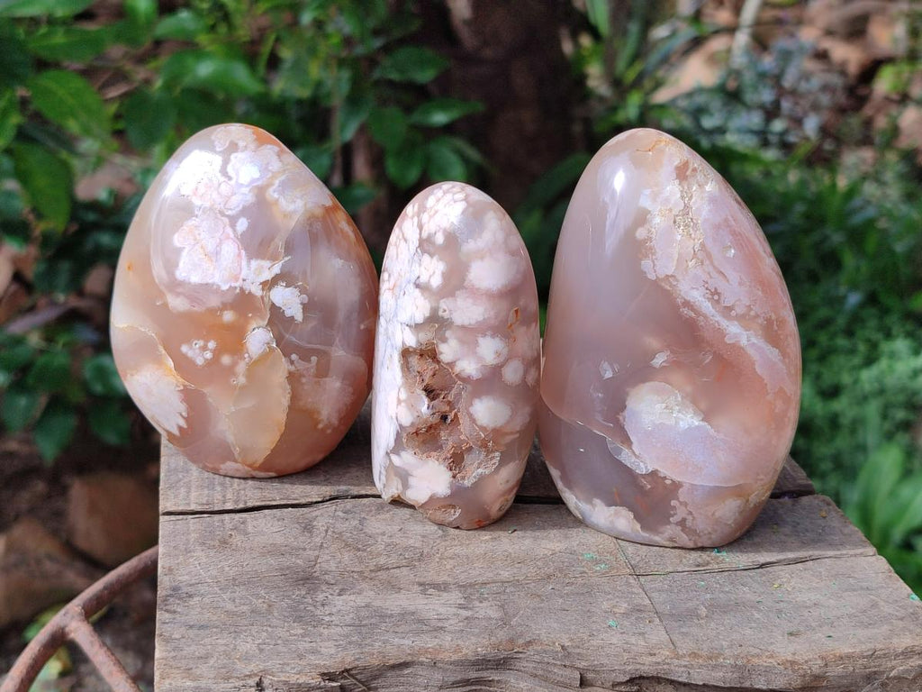 Polished Flower Agate Standing Free Forms x 5 From Antsahalova, Madagascar - Toprock Gemstones and Minerals 
