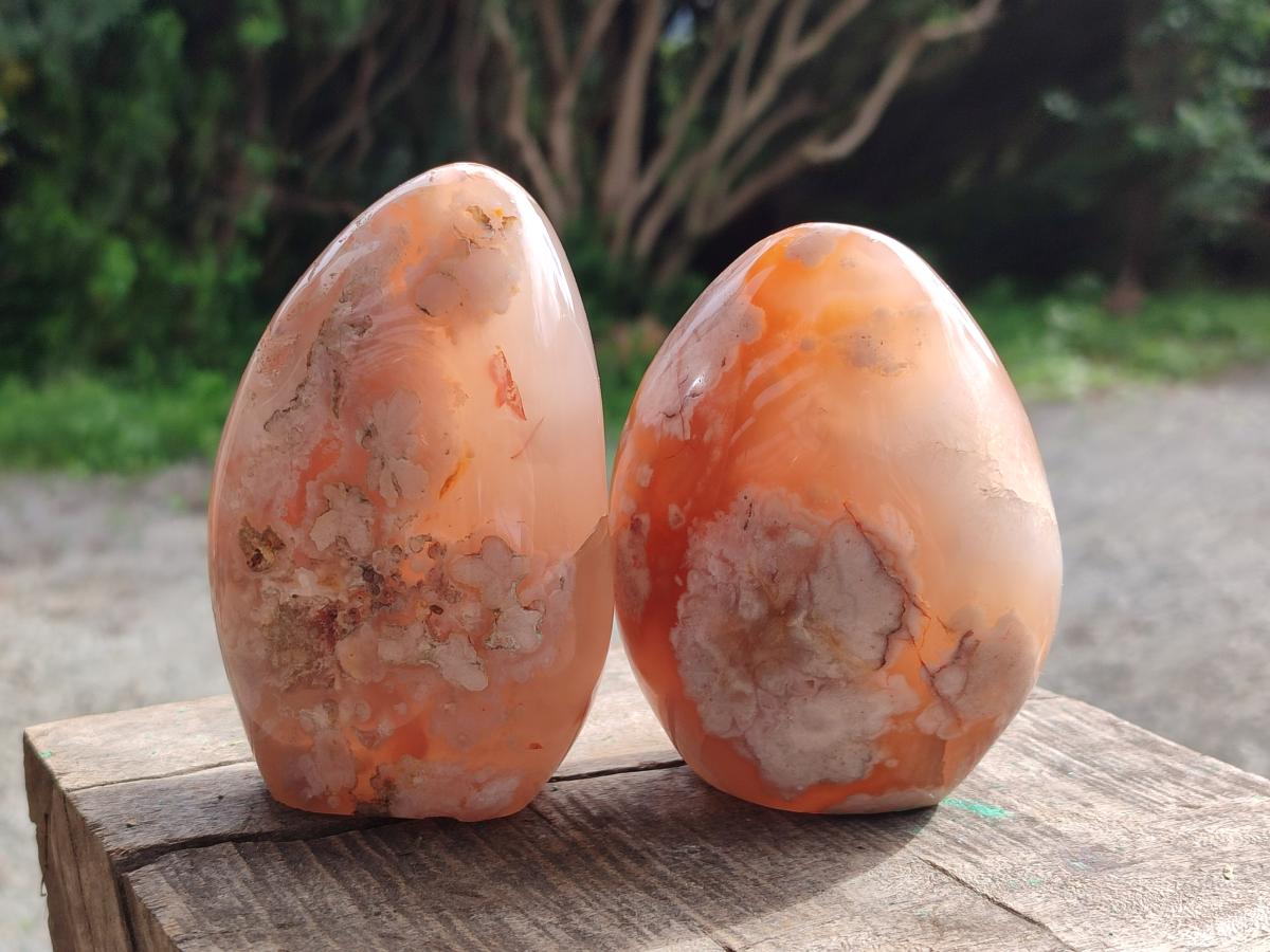 Polished Flower Agate Standing Free Forms x 5 From Antsahalova, Madagascar - Toprock Gemstones and Minerals 
