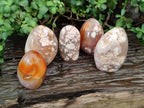 Polished Flower Agate Standing Free Forms x 5 From Antsahalova, Madagascar - Toprock Gemstones and Minerals 