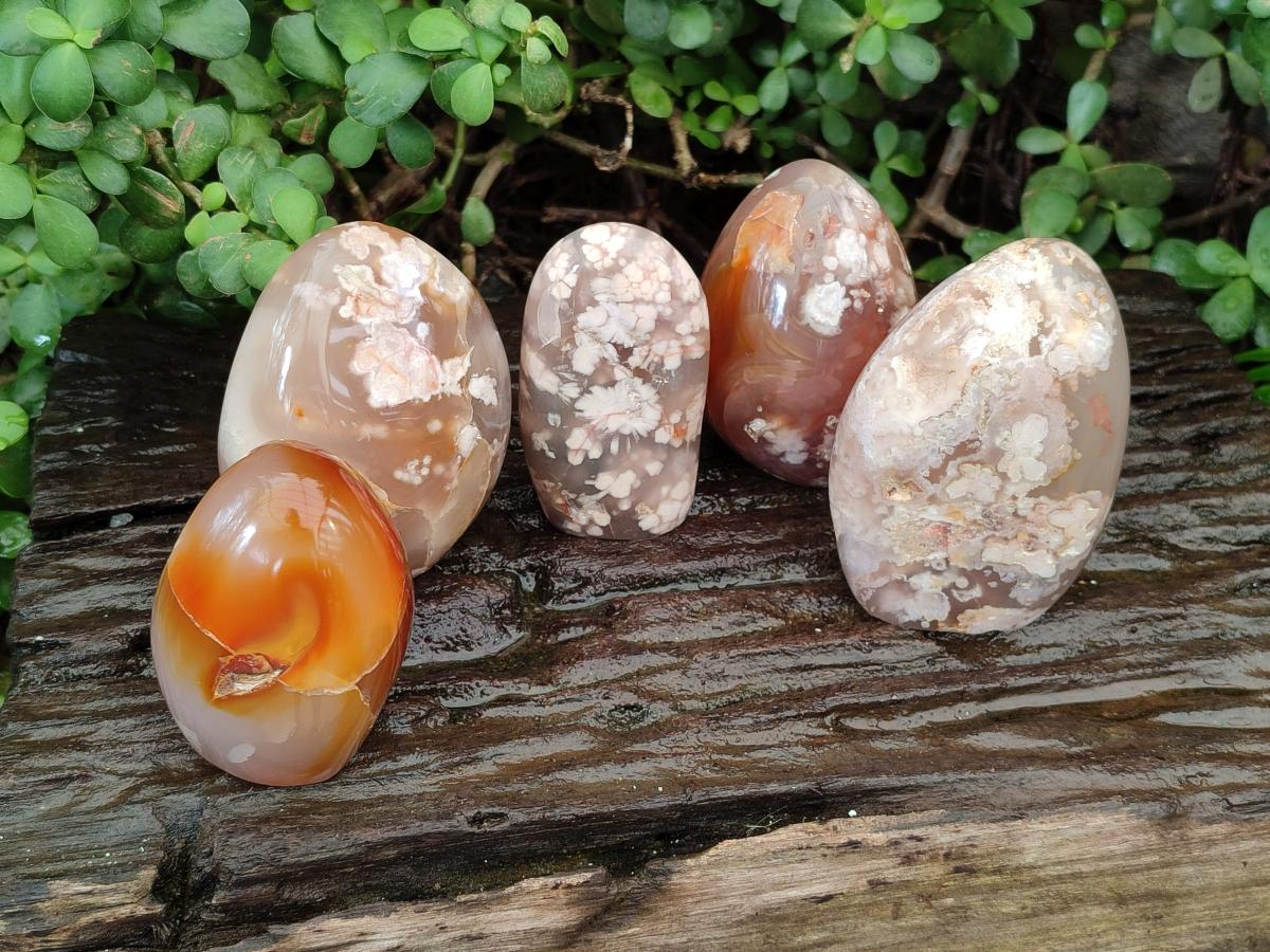 Polished Flower Agate Standing Free Forms x 5 From Antsahalova, Madagascar - Toprock Gemstones and Minerals 