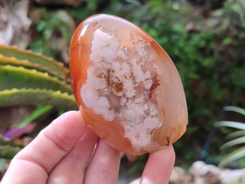 Polished Flower Agate Standing Free Forms x 5 From Antsahalova, Madagascar - Toprock Gemstones and Minerals 