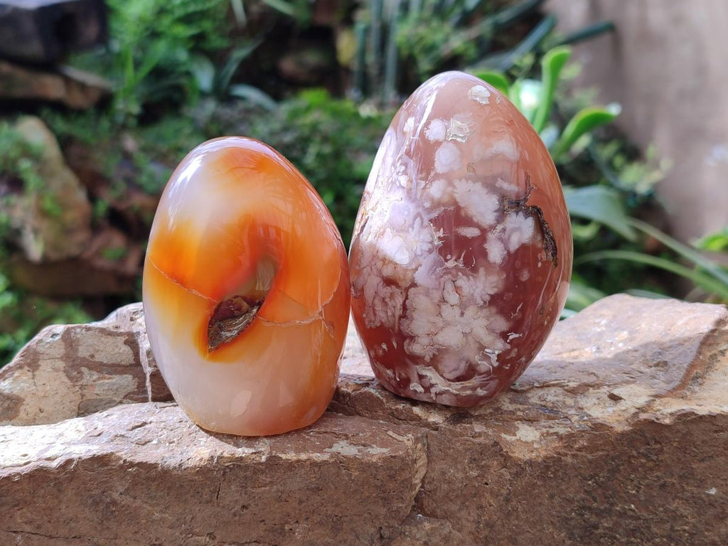 Polished Flower Agate Standing Free Forms x 5 From Antsahalova, Madagascar - Toprock Gemstones and Minerals 