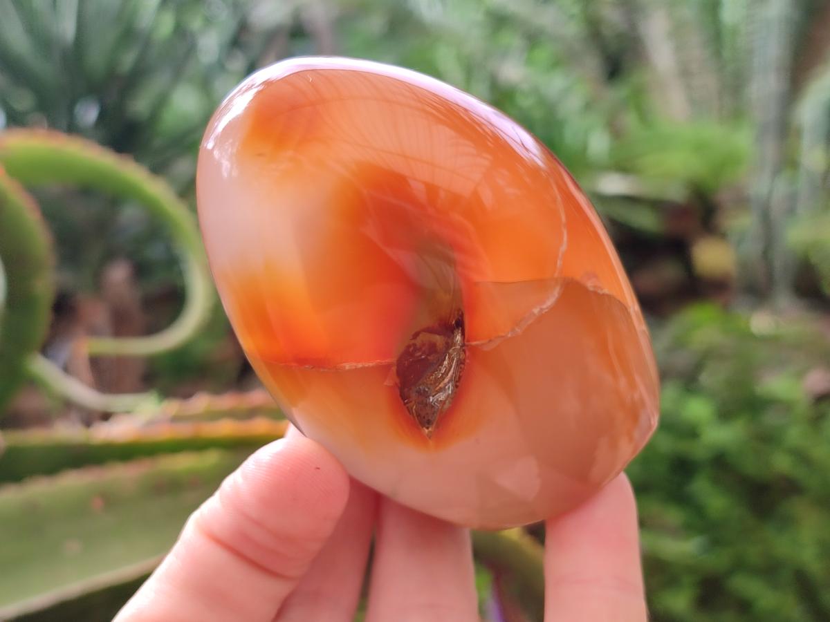 Polished Flower Agate Standing Free Forms x 5 From Antsahalova, Madagascar - Toprock Gemstones and Minerals 
