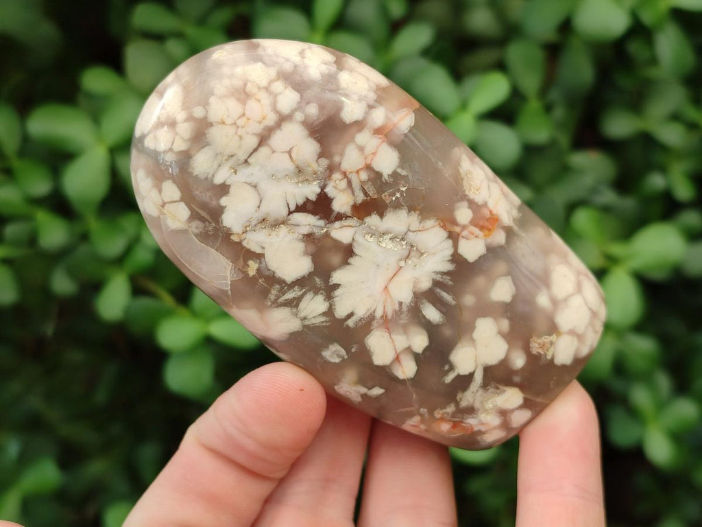 Polished Flower Agate Standing Free Forms x 5 From Antsahalova, Madagascar - Toprock Gemstones and Minerals 