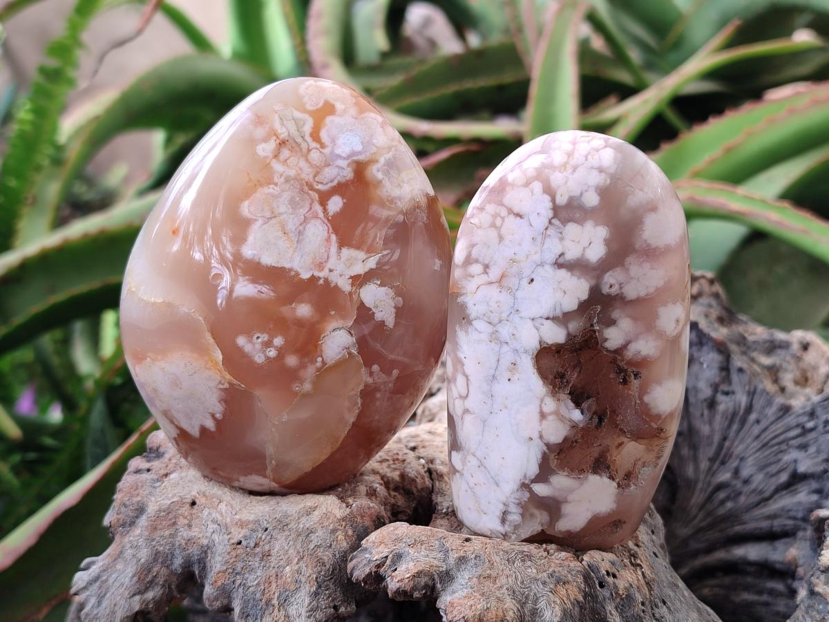 Polished Flower Agate Standing Free Forms x 5 From Antsahalova, Madagascar - Toprock Gemstones and Minerals 