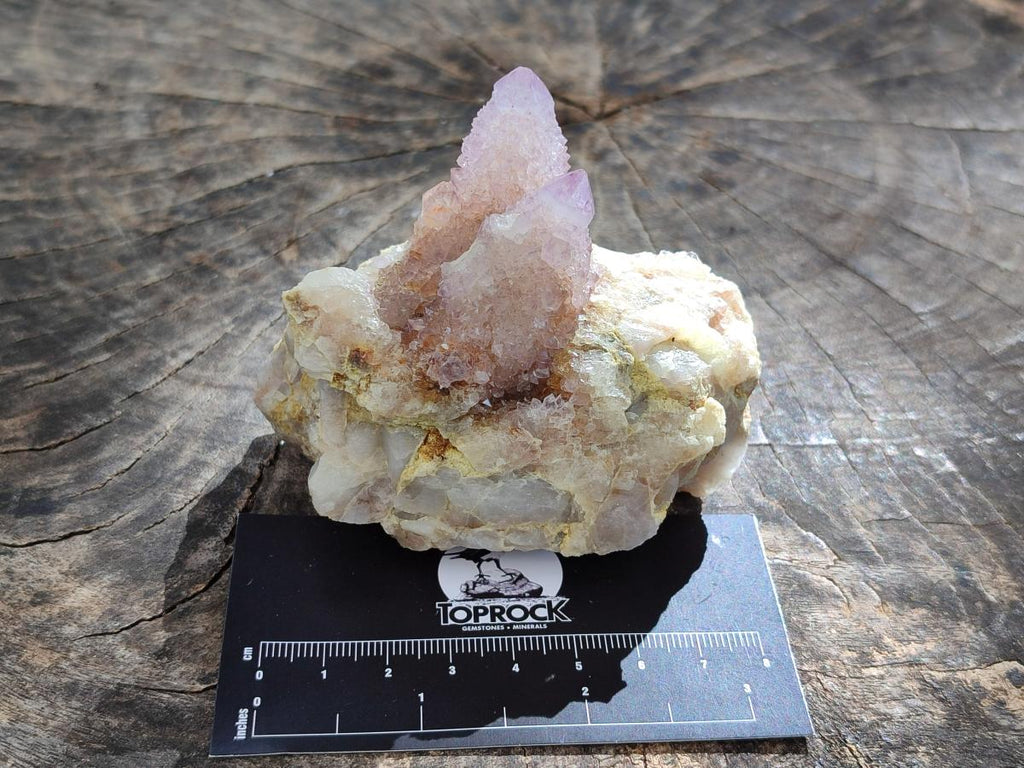 Natural Amethyst and Ametrine Spirit Clusters x 6 From Boekenhouthoek, South Africa - Toprock Gemstones and Minerals 