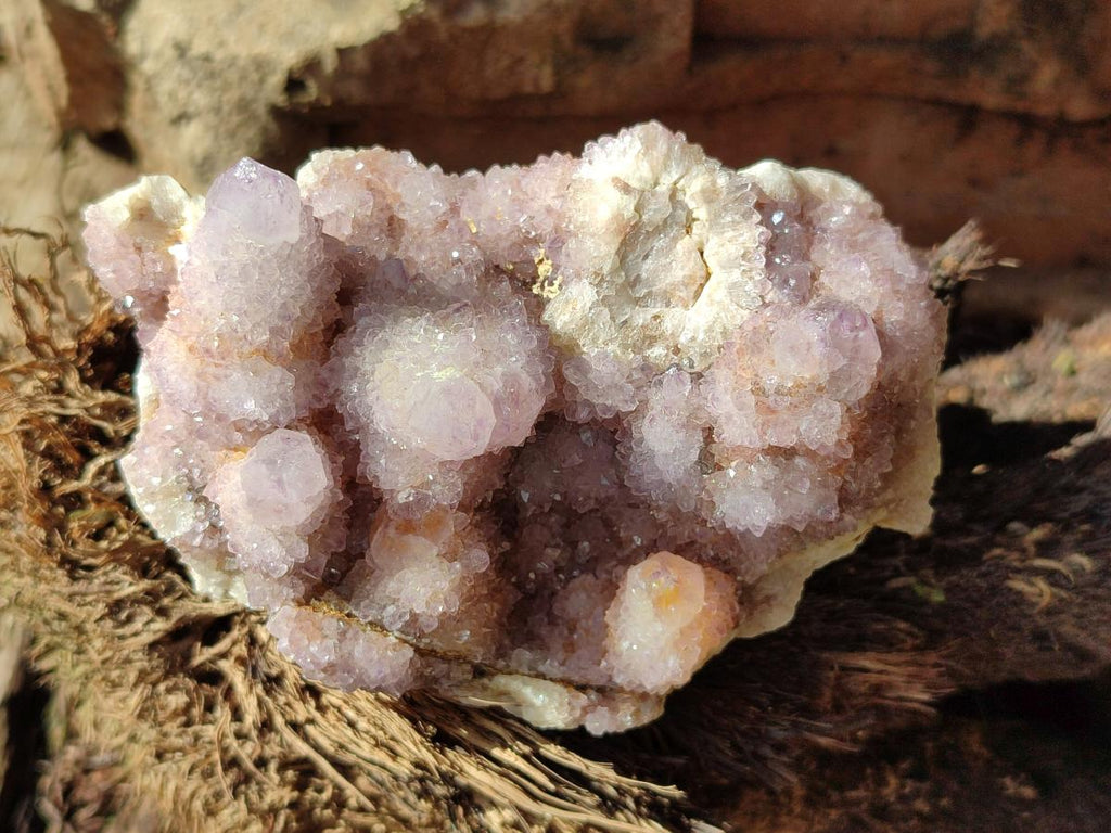 Natural Amethyst and Ametrine Spirit Clusters x 6 From Boekenhouthoek, South Africa - Toprock Gemstones and Minerals 