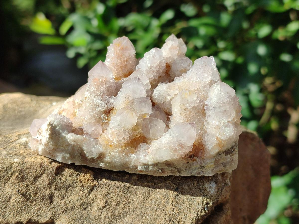 Natural Amethyst and Ametrine Spirit Clusters x 6 From Boekenhouthoek, South Africa - Toprock Gemstones and Minerals 