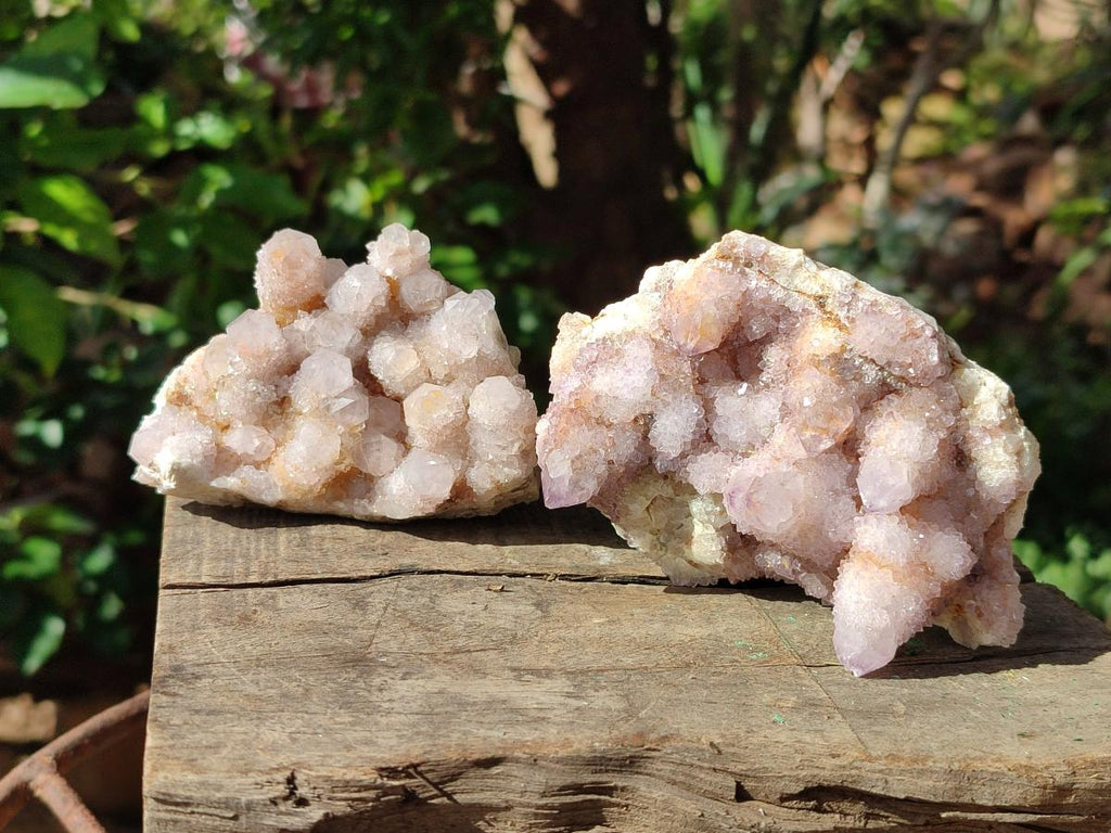 Natural Amethyst and Ametrine Spirit Clusters x 6 From Boekenhouthoek, South Africa - Toprock Gemstones and Minerals 