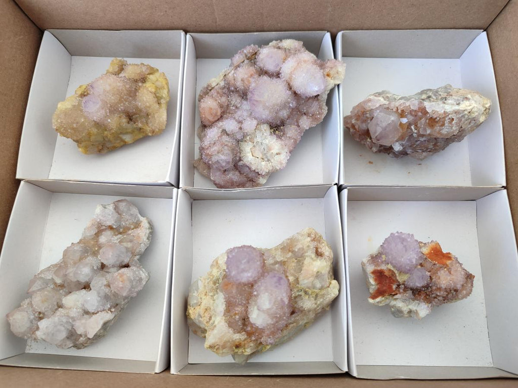 Natural Amethyst and Ametrine Spirit Clusters x 6 From Boekenhouthoek, South Africa - Toprock Gemstones and Minerals 