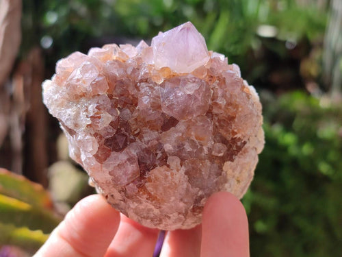 Natural Amethyst and Ametrine Spirit Clusters x 6 From Boekenhouthoek, South Africa - Toprock Gemstones and Minerals 