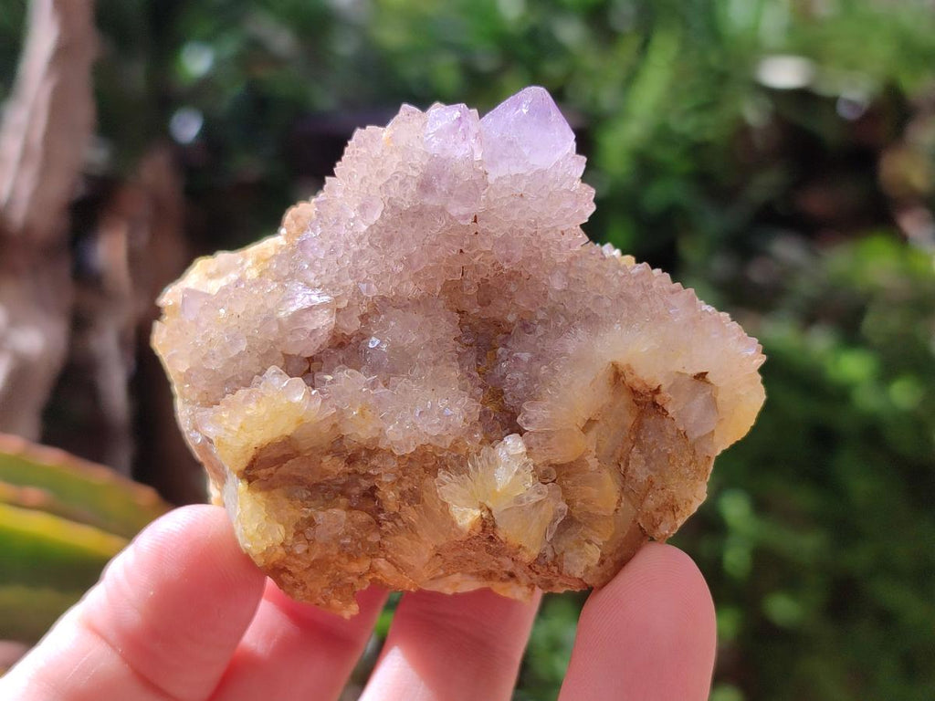Natural Amethyst and Ametrine Spirit Clusters x 6 From Boekenhouthoek, South Africa - Toprock Gemstones and Minerals 