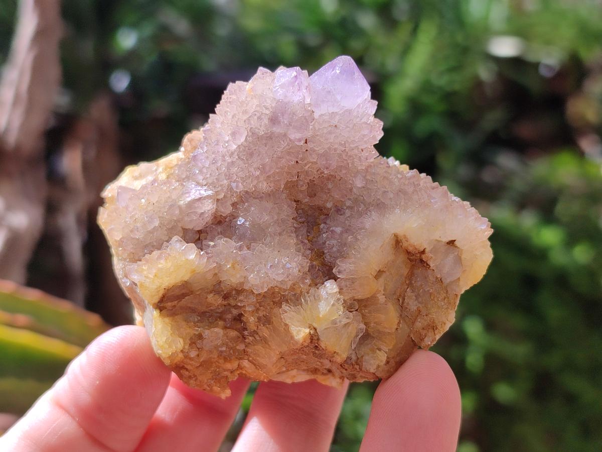 Natural Amethyst and Ametrine Spirit Clusters x 6 From Boekenhouthoek, South Africa - Toprock Gemstones and Minerals 