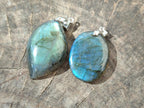 Polished Labradorite Pendants x 12 From Madagascar - Toprock Gemstones and Minerals 
