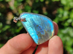 Polished Labradorite Pendants x 12 From Madagascar - Toprock Gemstones and Minerals 