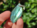 Polished Labradorite Pendants x 12 From Madagascar - Toprock Gemstones and Minerals 