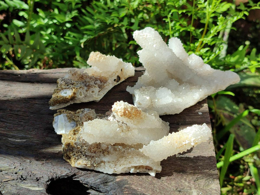 Natural Drusy Snow Finger Quartz Coated Clusters x 6 From Albert's Mountain, Lesotho - Toprock Gemstones and Minerals 