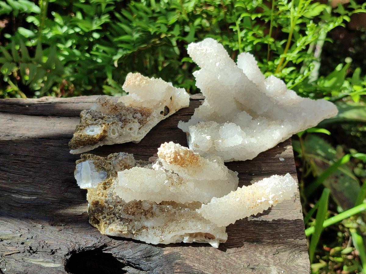 Natural Drusy Snow Finger Quartz Coated Clusters x 6 From Albert's Mountain, Lesotho - Toprock Gemstones and Minerals 