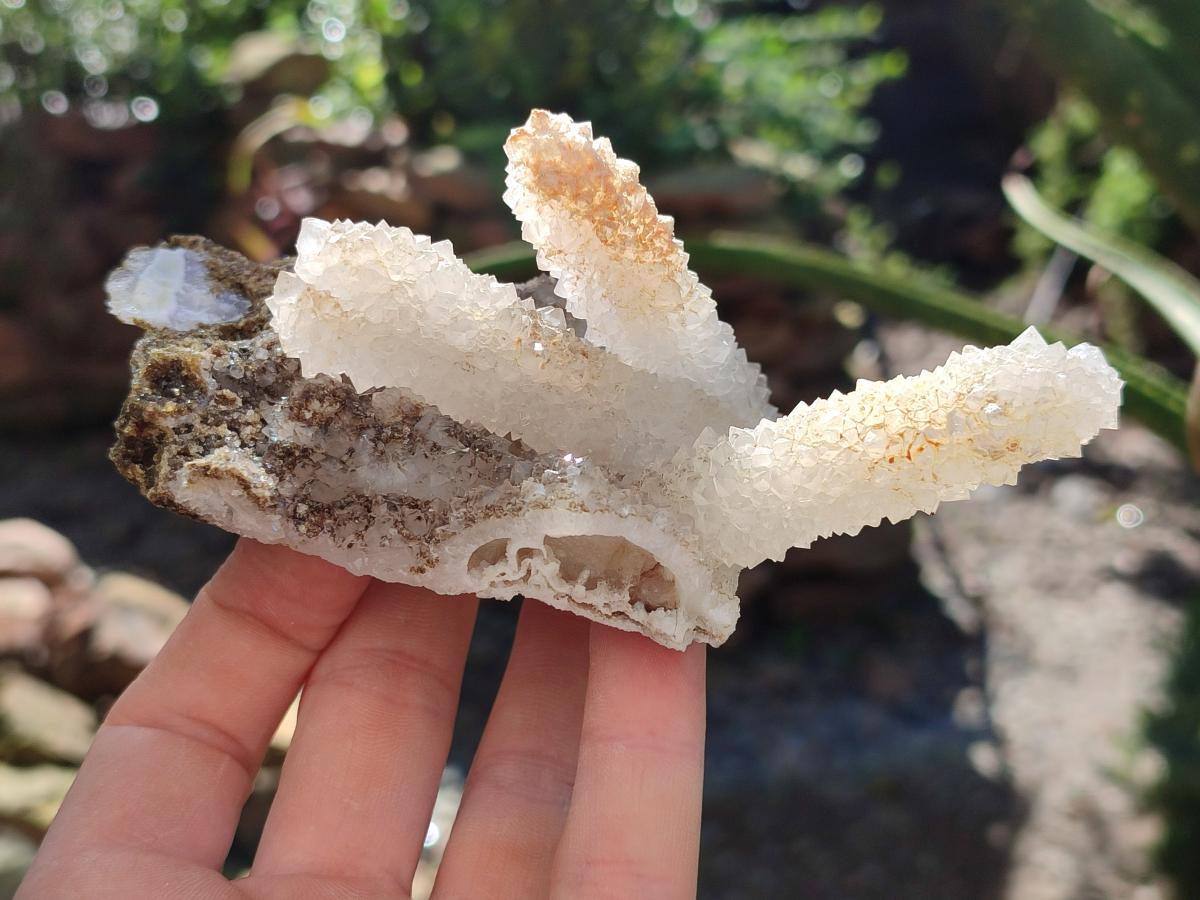 Natural Drusy Snow Finger Quartz Coated Clusters x 6 From Albert's Mountain, Lesotho - Toprock Gemstones and Minerals 