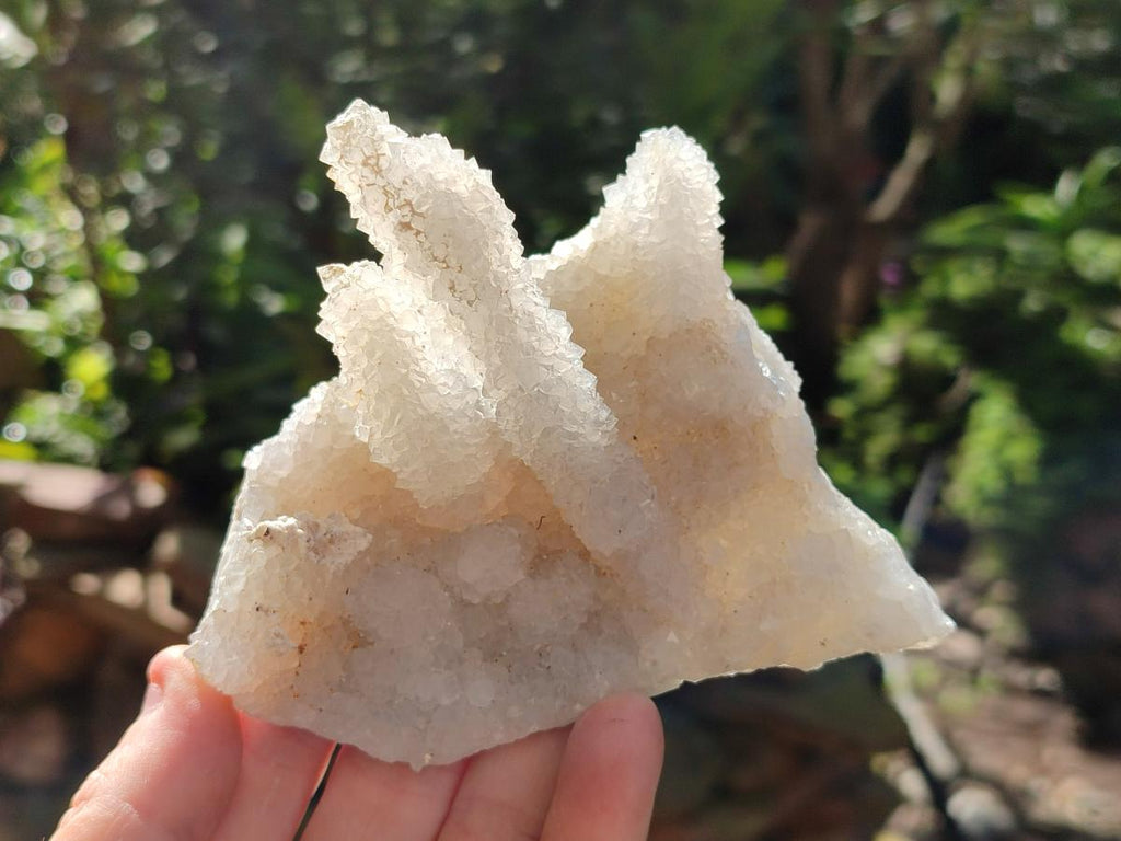 Natural Drusy Snow Finger Quartz Coated Clusters x 6 From Albert's Mountain, Lesotho - Toprock Gemstones and Minerals 