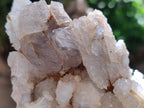Natural Drusy Snow Finger Quartz Coated Clusters x 6 From Albert's Mountain, Lesotho - Toprock Gemstones and Minerals 