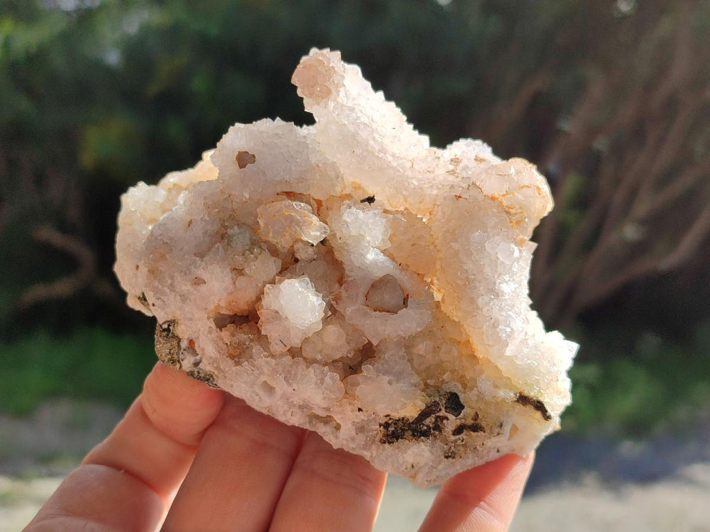 Natural Drusy Snow Finger Quartz Coated Clusters x 6 From Albert's Mountain, Lesotho - Toprock Gemstones and Minerals 