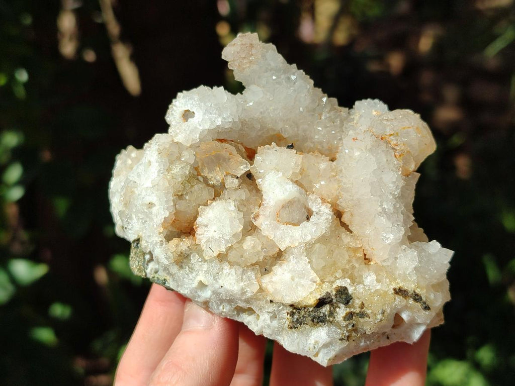 Natural Drusy Snow Finger Quartz Coated Clusters x 6 From Albert's Mountain, Lesotho - Toprock Gemstones and Minerals 