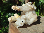 Natural Drusy Snow Finger Quartz Coated Clusters x 6 From Albert's Mountain, Lesotho - Toprock Gemstones and Minerals 