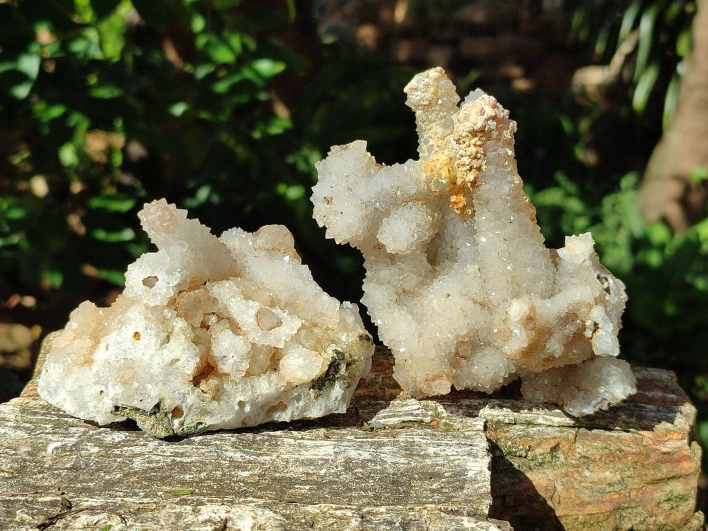 Natural Drusy Snow Finger Quartz Coated Clusters x 6 From Albert's Mountain, Lesotho - Toprock Gemstones and Minerals 