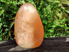 Polished Orange Twist Calcite Standing Free Forms x 2 From Maevantanana, Madagascar - Toprock Gemstones and Minerals 