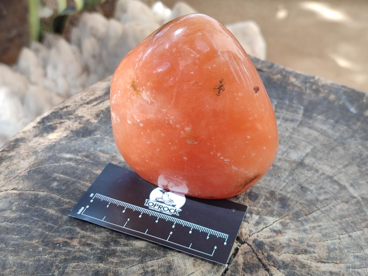 Polished Orange Twist Calcite Standing Free Forms x 2 From Maevantanana, Madagascar - Toprock Gemstones and Minerals 
