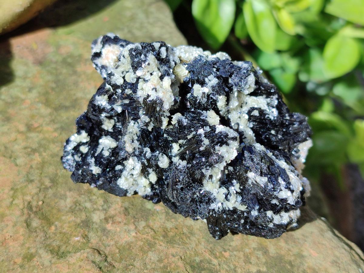 Natural Schorl Black Tourmaline with Muscovite Mica Specimens x 6 From Erongo, Namibia - Toprock Gemstones and Minerals 