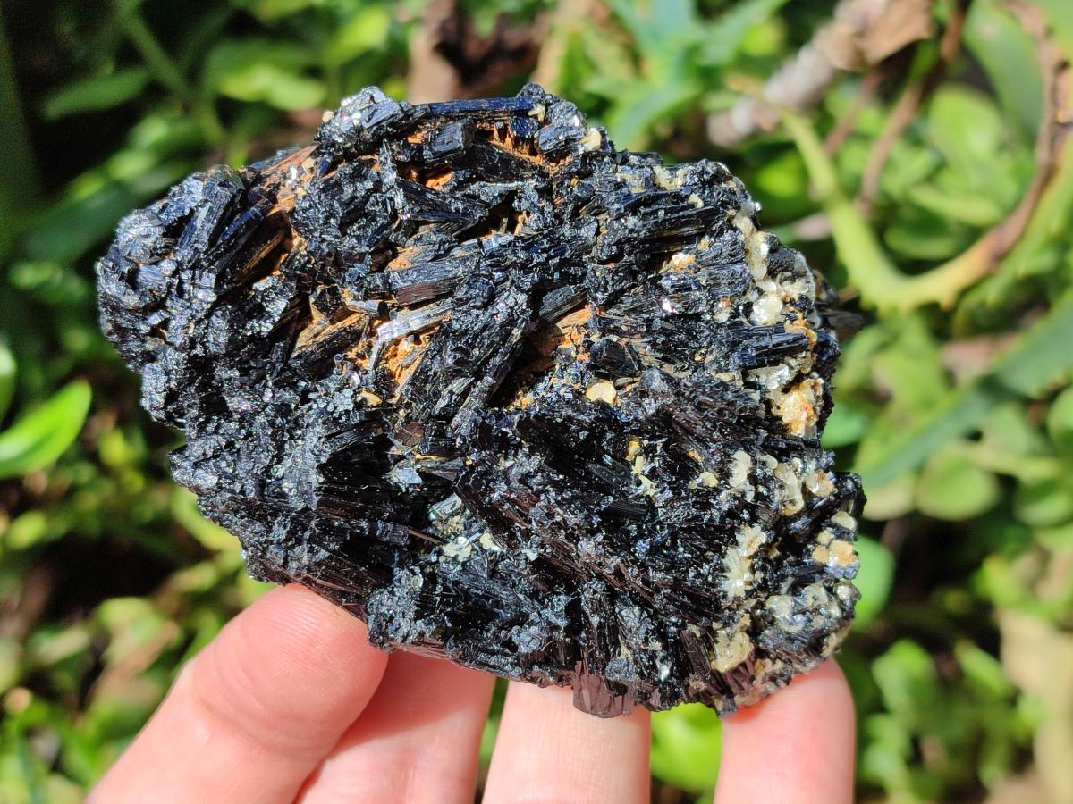 Natural Schorl Black Tourmaline with Muscovite Mica Specimens x 6 From Erongo, Namibia - Toprock Gemstones and Minerals 