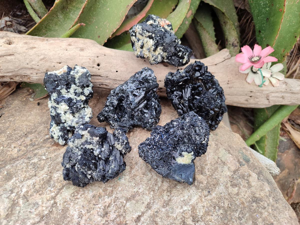 Natural Schorl Black Tourmaline with Muscovite Mica Specimens x 6 From Erongo, Namibia - Toprock Gemstones and Minerals 