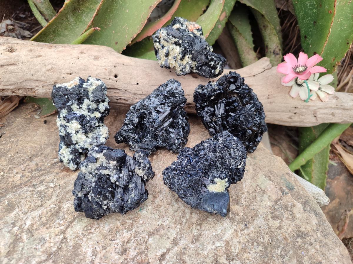 Natural Schorl Black Tourmaline with Muscovite Mica Specimens x 6 From Erongo, Namibia - Toprock Gemstones and Minerals 