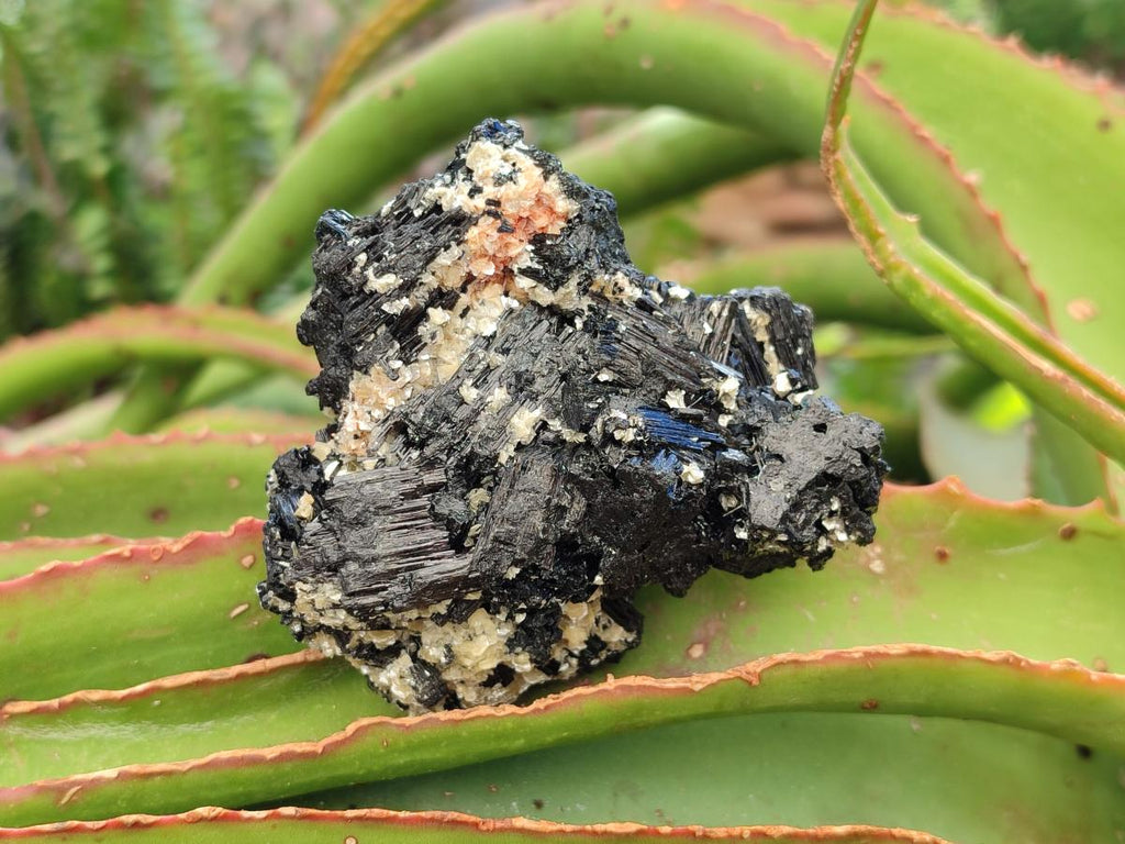 Natural Schorl Black Tourmaline with Muscovite Mica Specimens x 6 From Erongo, Namibia - Toprock Gemstones and Minerals 
