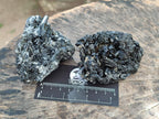 Natural Schorl Black Tourmaline with Muscovite Mica Specimens x 6 From Erongo, Namibia - Toprock Gemstones and Minerals 