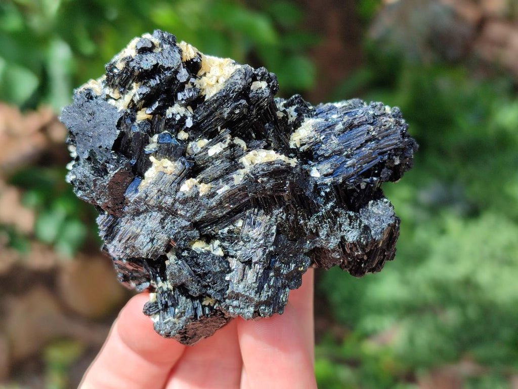 Natural Schorl Black Tourmaline with Muscovite Mica Specimens x 6 From Erongo, Namibia - Toprock Gemstones and Minerals 