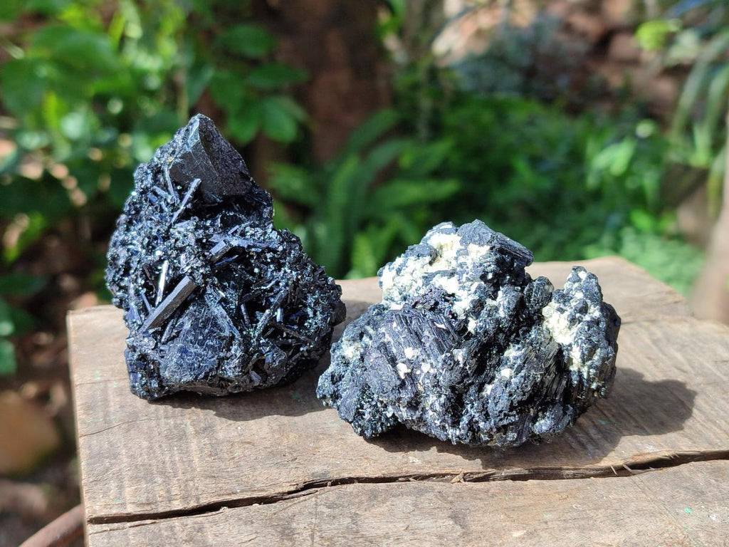 Natural Schorl Black Tourmaline with Muscovite Mica Specimens x 6 From Erongo, Namibia - Toprock Gemstones and Minerals 