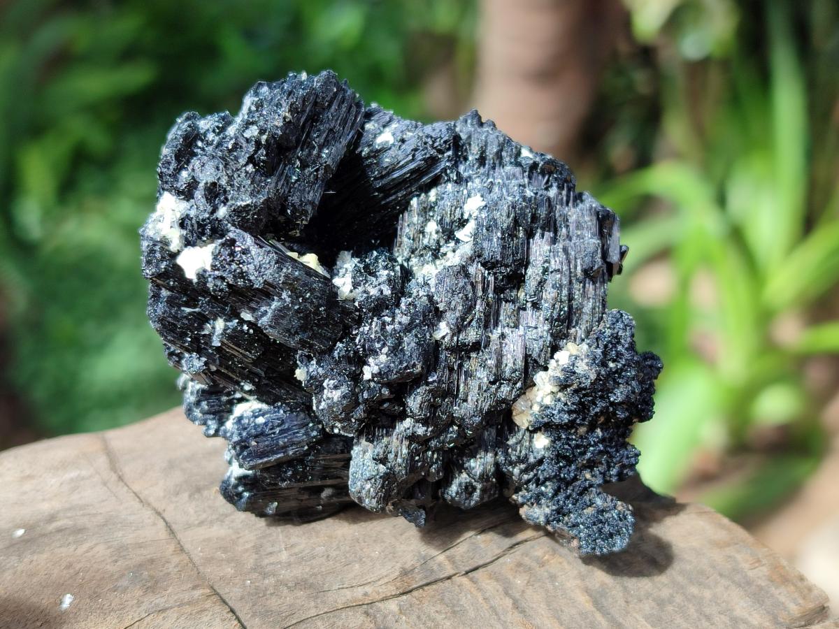 Natural Schorl Black Tourmaline with Muscovite Mica Specimens x 6 From Erongo, Namibia - Toprock Gemstones and Minerals 