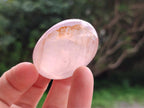 Polished Gemmy Rose Quartz Palm Stones x 20 From Madagascar - Toprock Gemstones and Minerals 