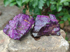 Natural Metallic Cobbed Purpurite Specimens x 12 From Erongo, Namibia - Toprock Gemstones and Minerals 
