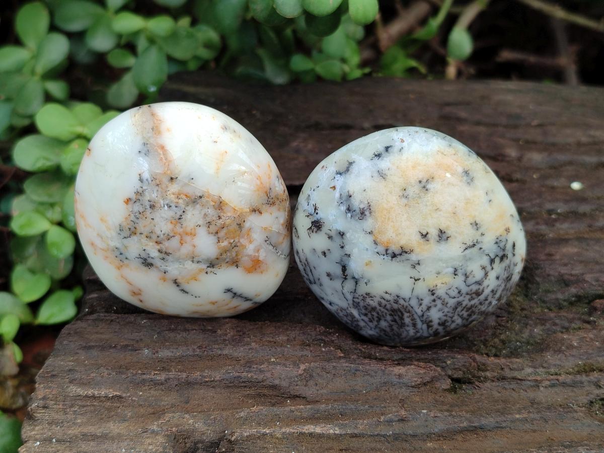 Polished Dendritic Agate Galets x 12 From Moralambo, Madagascar - Toprock Gemstones and Minerals 