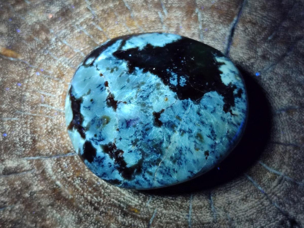 Polished Dendritic Agate Galets x 12 From Moralambo, Madagascar - Toprock Gemstones and Minerals 