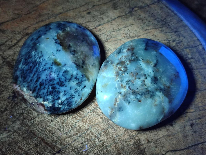 Polished Dendritic Agate Galets x 12 From Moralambo, Madagascar - Toprock Gemstones and Minerals 