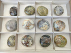 Polished Dendritic Agate Galets x 12 From Moralambo, Madagascar - Toprock Gemstones and Minerals 