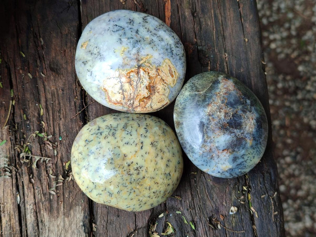 Polished Dendritic Agate Galets x 12 From Moralambo, Madagascar - Toprock Gemstones and Minerals 