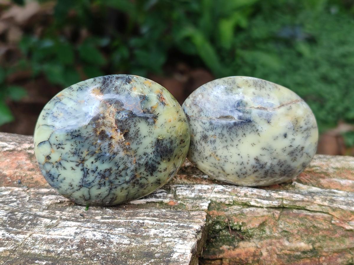 Polished Dendritic Agate Galets x 12 From Moralambo, Madagascar - Toprock Gemstones and Minerals 