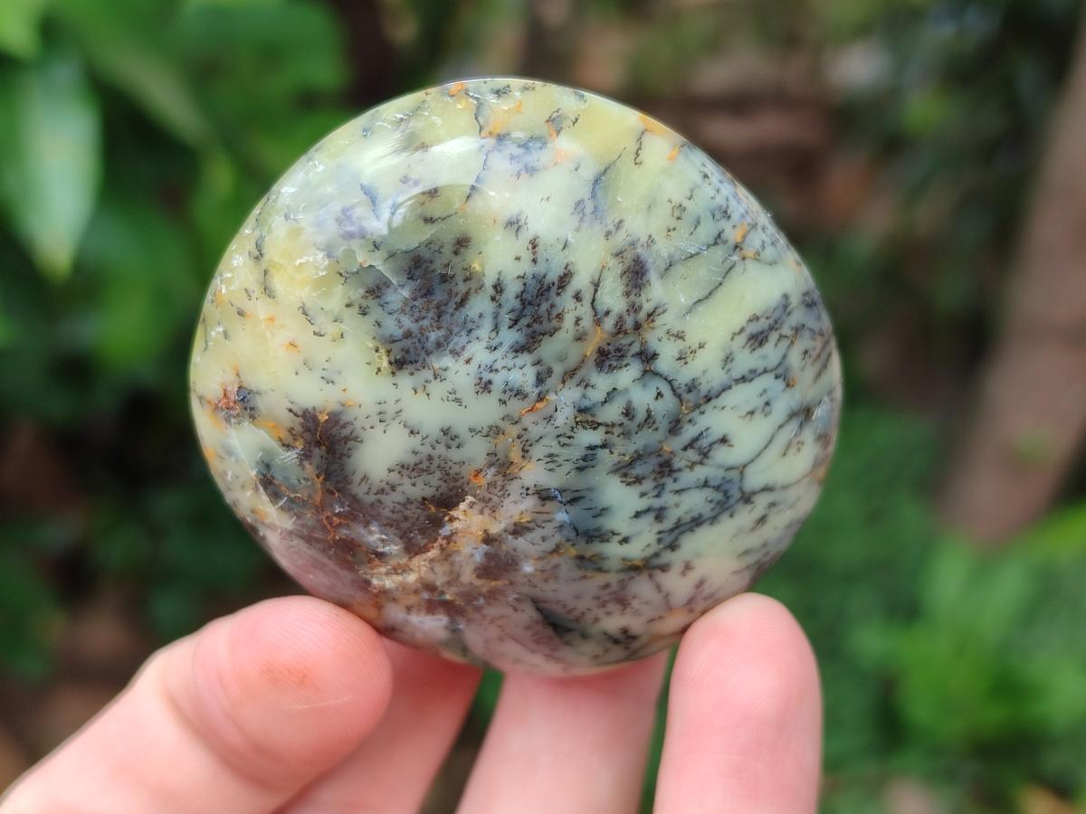 Polished Dendritic Agate Galets x 12 From Moralambo, Madagascar - Toprock Gemstones and Minerals 