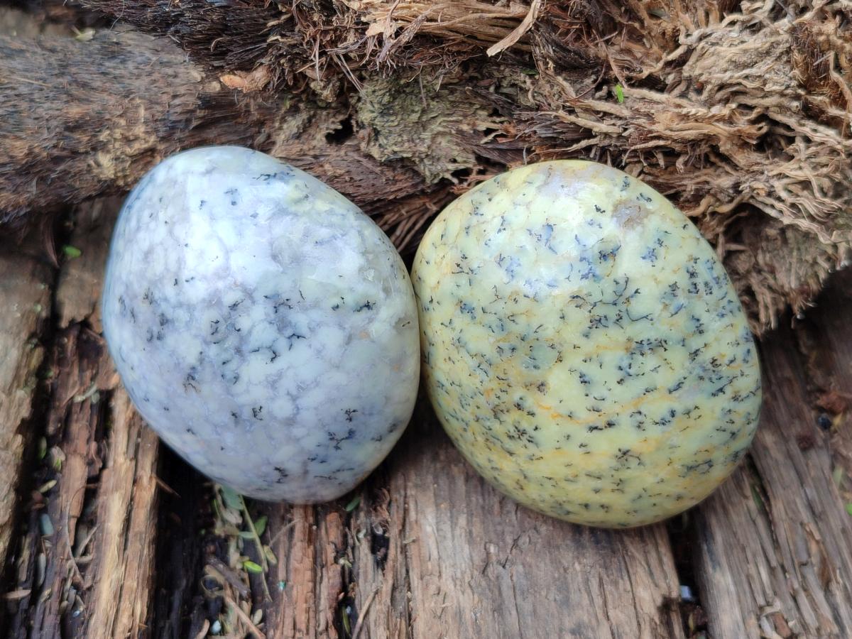 Polished Dendritic Agate Galets x 12 From Moralambo, Madagascar - Toprock Gemstones and Minerals 